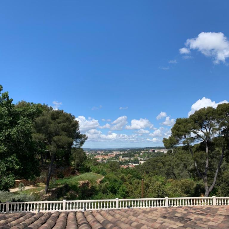 La Farigoule - Sainte-Victoire - Vue exceptionnelle sur Aix-en-Provence - Appartement - Vue sur Jardin - 8