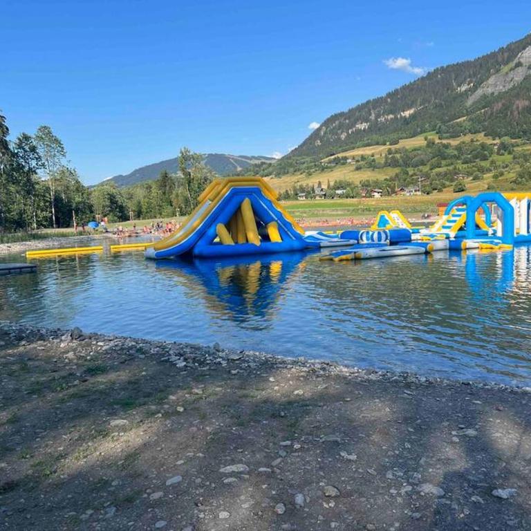 Praz sur Arly - proche des pistes et de Megève - Appartement 1 Chambre - 11