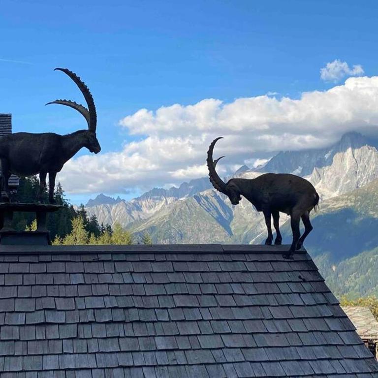 Praz sur Arly - proche des pistes et de Megève - Appartement 1 Chambre - 18