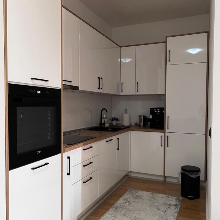 Luxury Apartment Sarajevo King Size Bed - Apartman sa 1 Spavaćom Sobom - 14