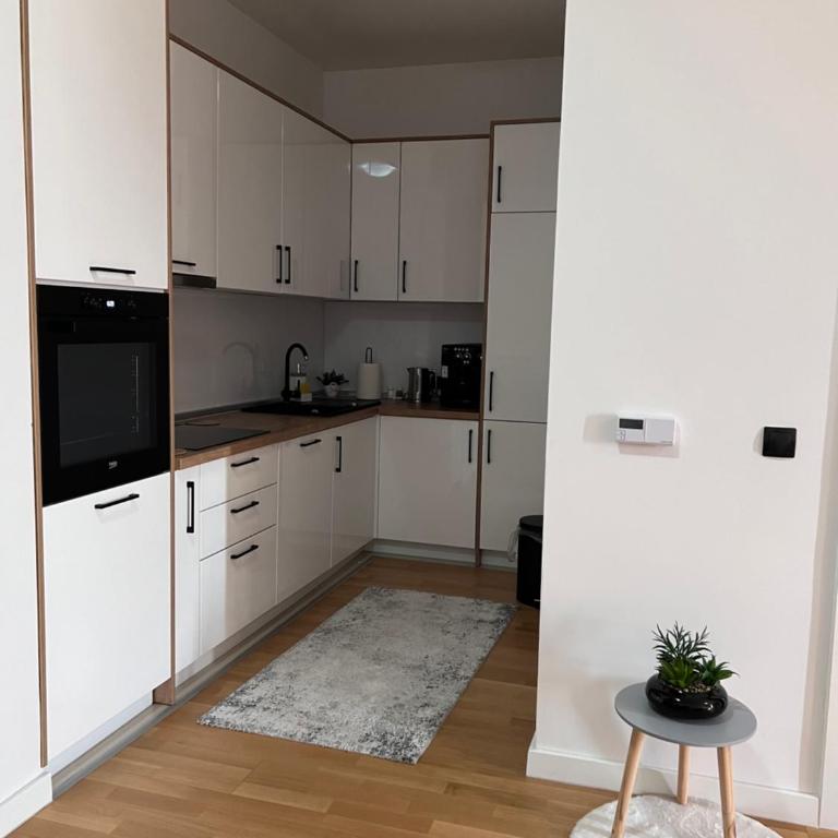 Luxury Apartment Sarajevo King Size Bed - Apartman sa 1 Spavaćom Sobom - 15