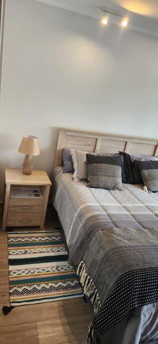 Moderno departamento cercano al centro de Pucón - Apartamento de 1 dormitorio - 8