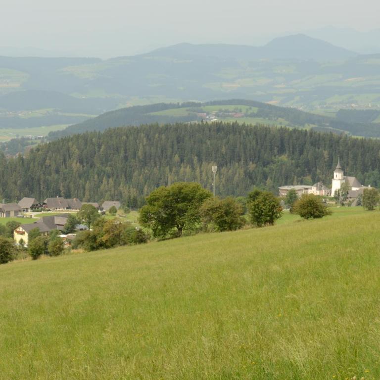 Huberhof im Almenland - Apartment mit 2 Schlafzimmern und Bergblick - 17