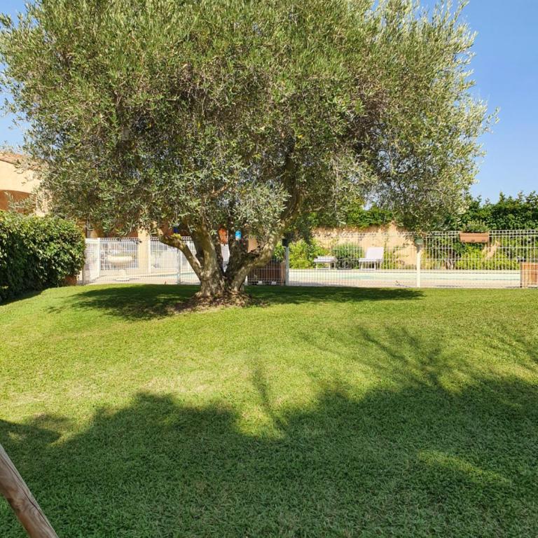 Mas Saint Jean - Casa con 2 Camere da Letto - 42