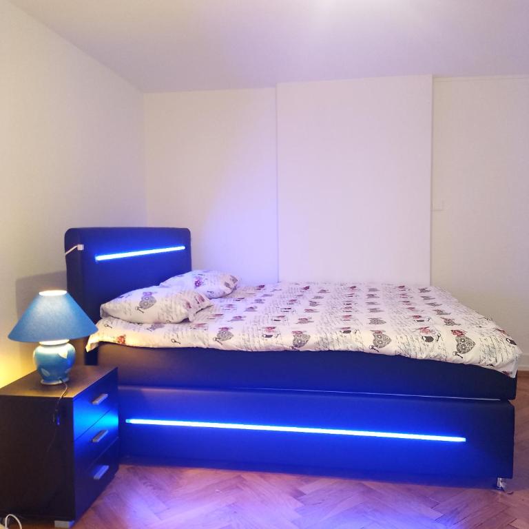Charming flat center and near the lake - Chambre Familiale avec Salle de Bains - 31