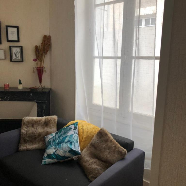 Appt à Blois : Art et Histoire ! - Apartment mit 1 Schlafzimmer - 8