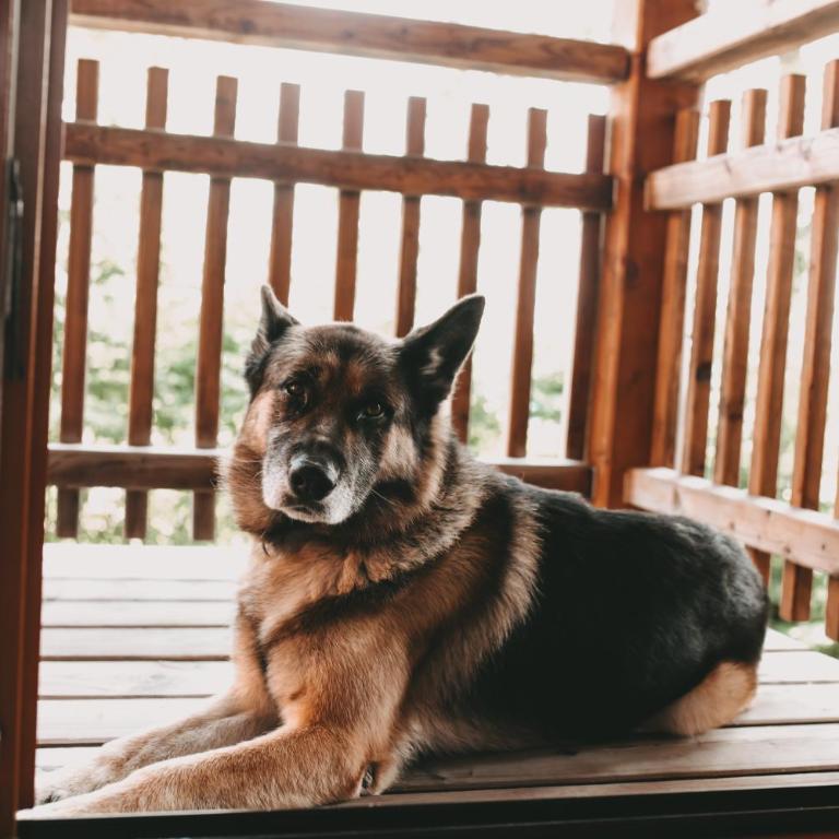 Kultur Weingut Kästenburg - Standard Doppelzimmer - 2