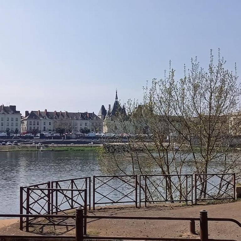 Les marronniers appartement centre Saumur bord de Loire - Appartement 1 Chambre - 16