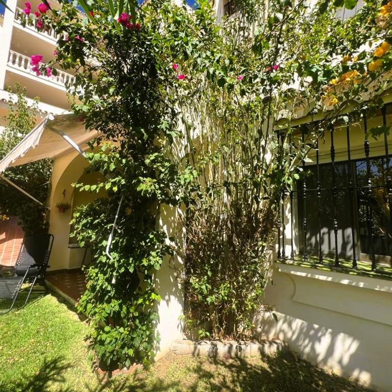 BELLASOL - Apartamento de 2 dormitorios - 3