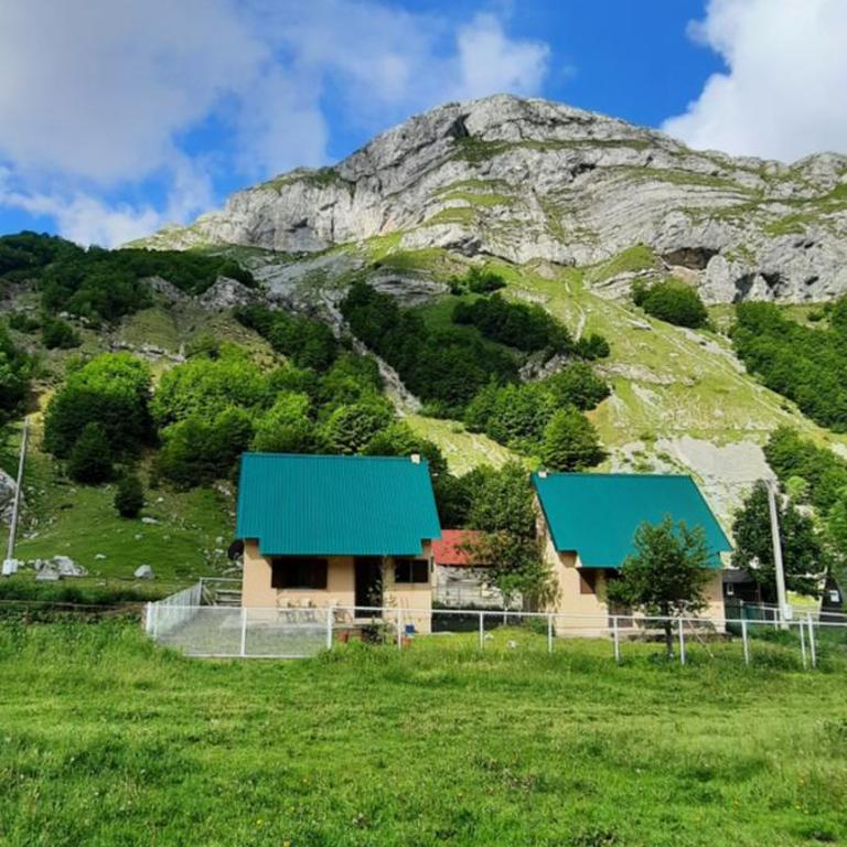 Katun Mokra accommodation & horseback riding - Superior Chalet - 15