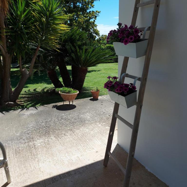 Villa Anime Sante - Casa Vacanze - 4
