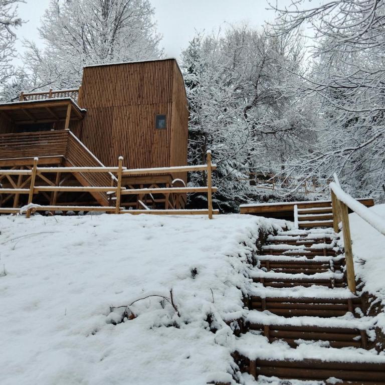 les gites axéens (l'Ours) - Appartement 1 Chambre - 29