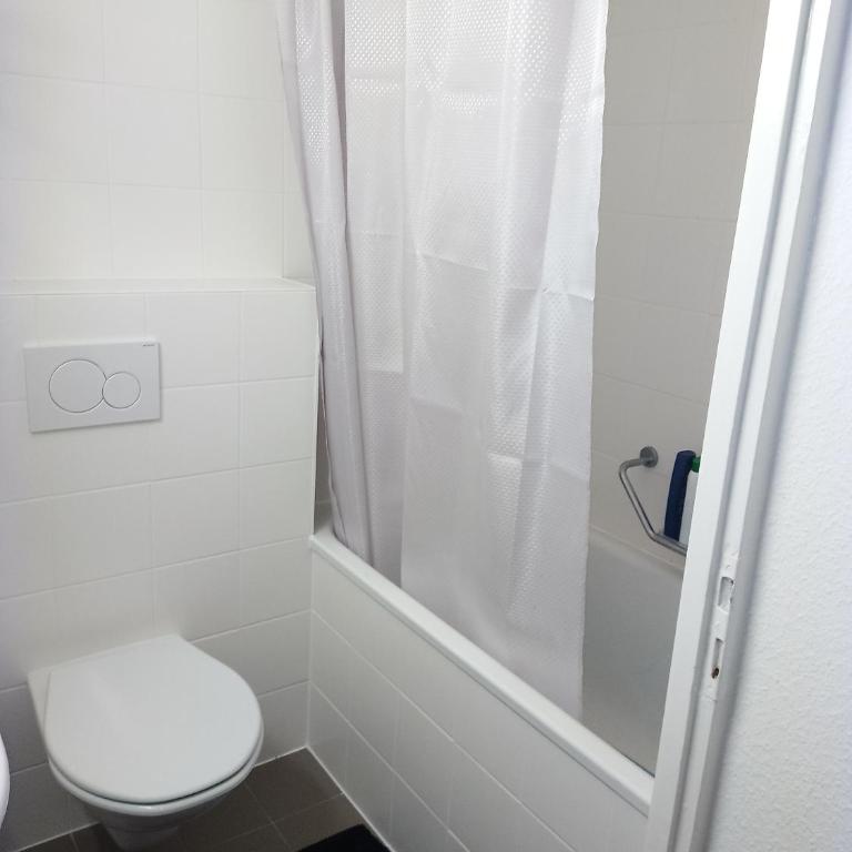 Charming flat center and near the lake - Chambre Familiale avec Salle de Bains - 25