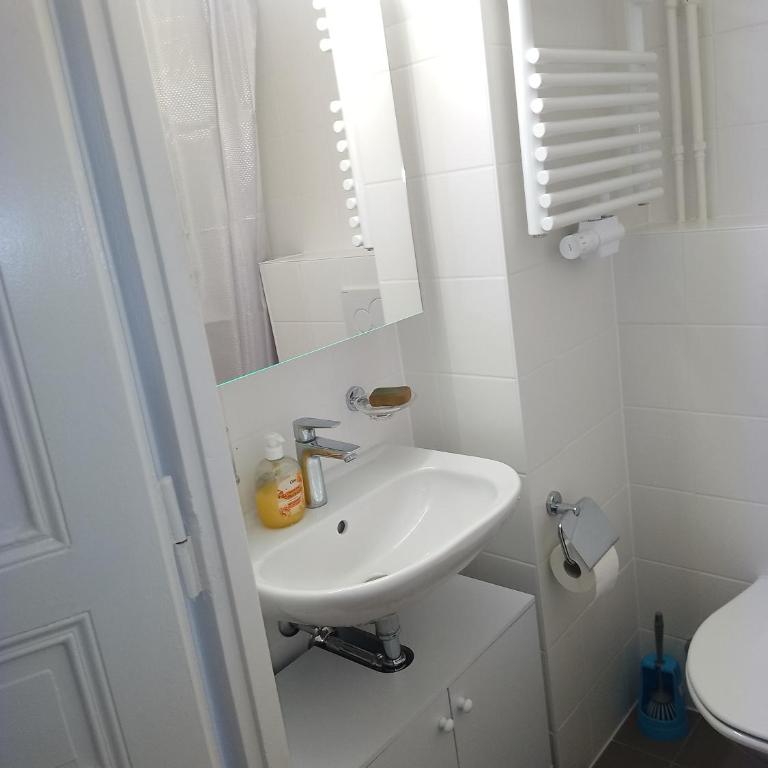 Charming flat center and near the lake - Chambre Familiale avec Salle de Bains - 24
