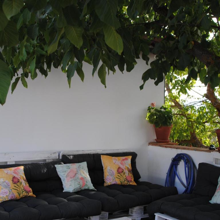 Casa La Pechá, Ronda (Málaga) - Casa de 2 dormitorios - 41