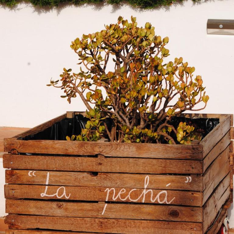 Casa La Pechá, Ronda (Málaga) - Casa de 2 dormitorios - 42