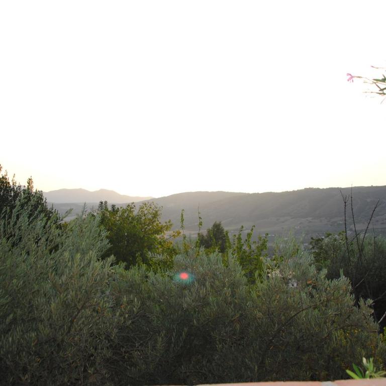 Casa La Pechá, Ronda (Málaga) - Casa de 2 dormitorios - 44
