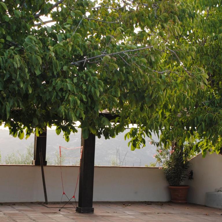 Casa La Pechá, Ronda (Málaga) - Casa de 2 dormitorios - 46