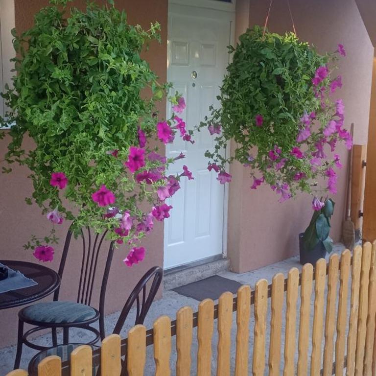 Apartman Trijumf - Superior Apartman - 18