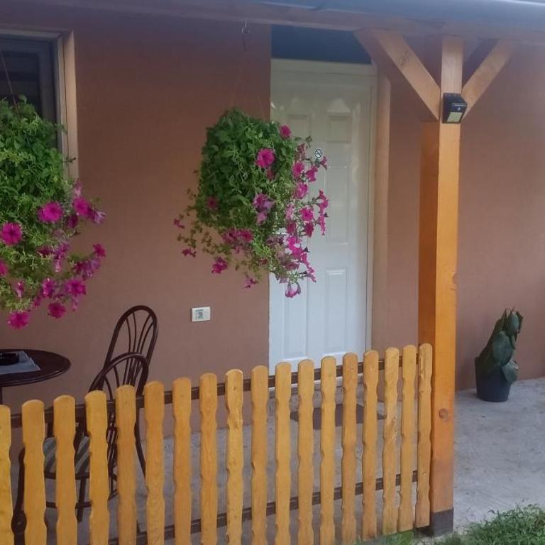 Apartman Trijumf - Superior Apartman - 19