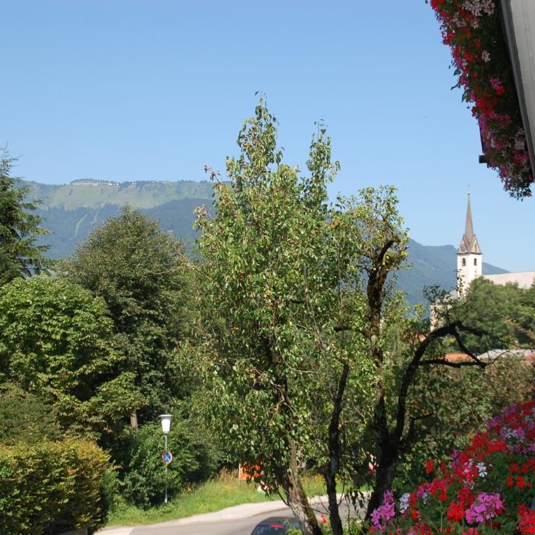 Gästehaus Sunkler - Doppelzimmer - 4