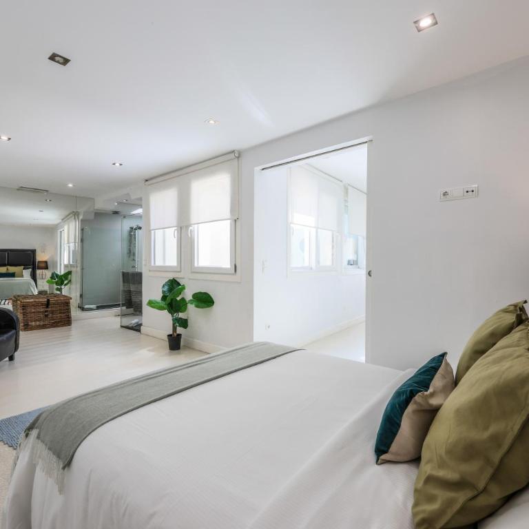 AmazINN Collection Madrid Puerta del Sol - Apartamento Ático - 5