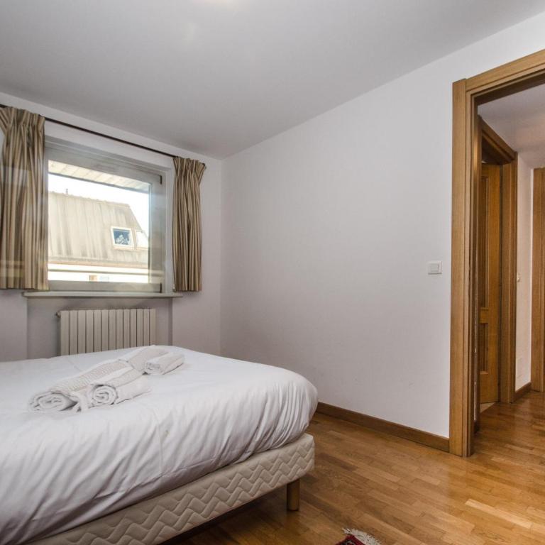 Charmant duplex au cœur de Chamonix avec wifi et animaux admis - FR-1-343-183 - Apartment - 12