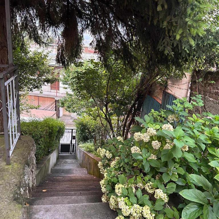 View - Appartement 1 Chambre - 7