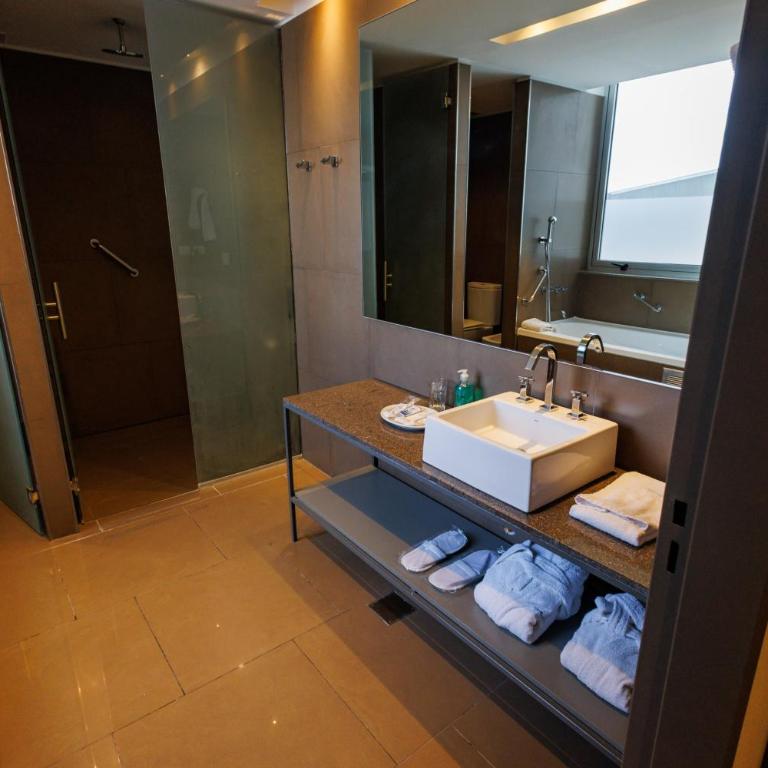Esplendor by Wyndham Mendoza - Suite con cama extragrande - No fumadores - 9