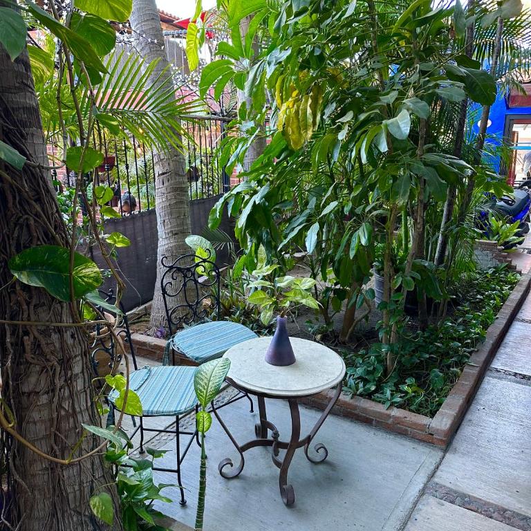 Siesta Suites Boutique Hotel - Suite - 1