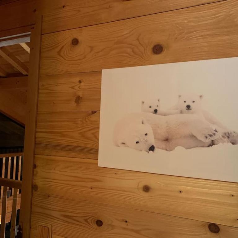 Superbe CHALET (14 personnes) & SAUNA au pied du Mont Blanc - Chalet - 40