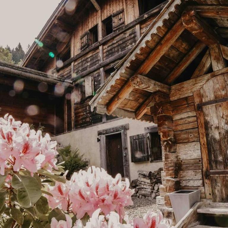 Superbe CHALET (14 personnes) & SAUNA au pied du Mont Blanc - Chalet - 72