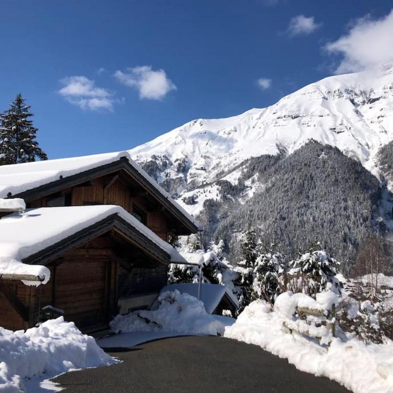 Superbe CHALET (14 personnes) & SAUNA au pied du Mont Blanc - Chalet - 2