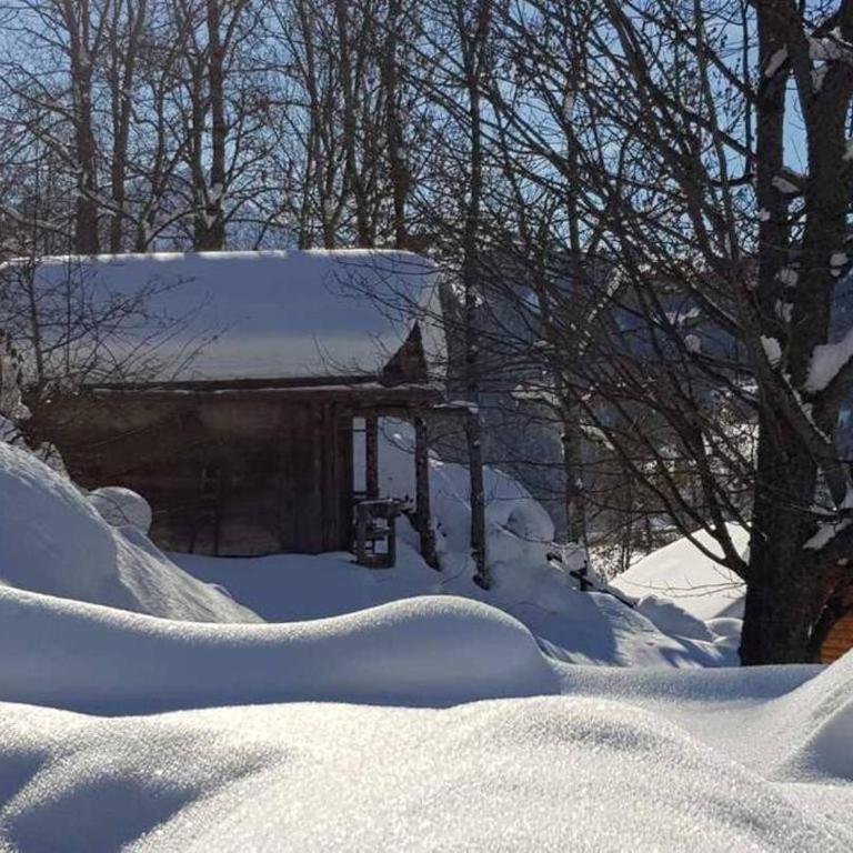 Superbe CHALET (14 personnes) & SAUNA au pied du Mont Blanc - Chalet - 4