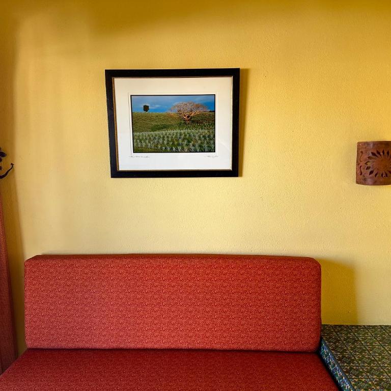 Siesta Suites Boutique Hotel - Suite - 4