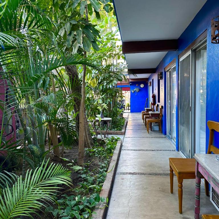Siesta Suites Boutique Hotel - Suite - 9