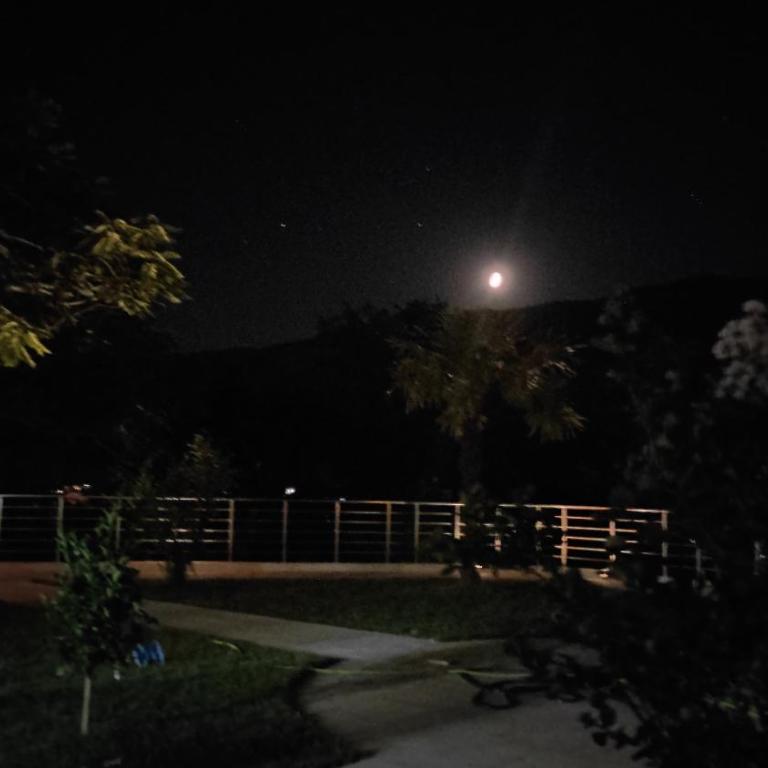 Nada1 - Apartman sa 1 Spavaćom Sobom - 19