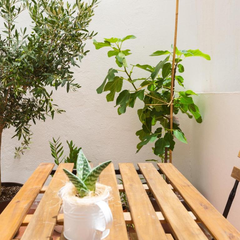 Malaga Centro I - Apartamento de 3 dormitorios - 34