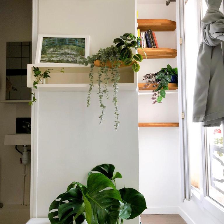 Green cozy studio au cœur de Paris - Studio - 3