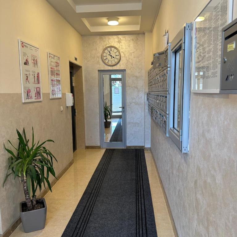 Hanna apatment - Apartman sa 1 Spavaćom Sobom - 16