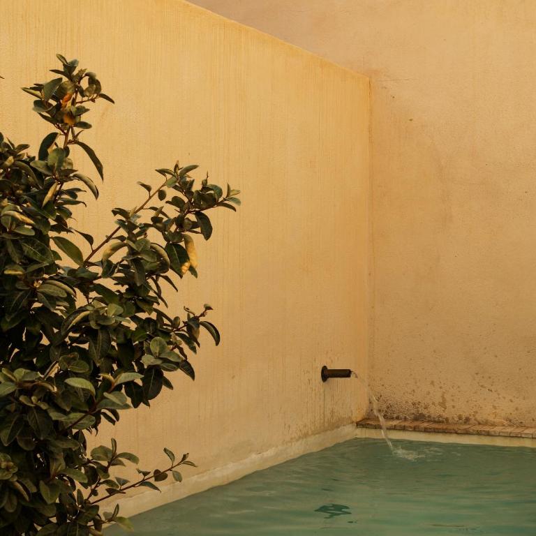 CSE BOSCOS Apartments - Apartment with Terrace (with private pool) - 7