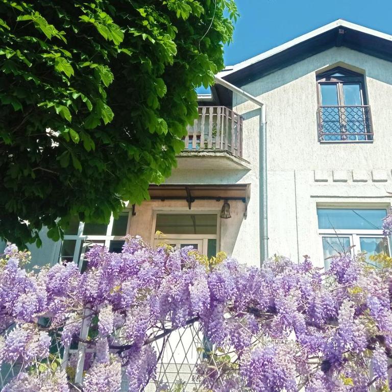Belgrade Apartment Happy Garden - Apartman sa Pogledom na Vrt - 34