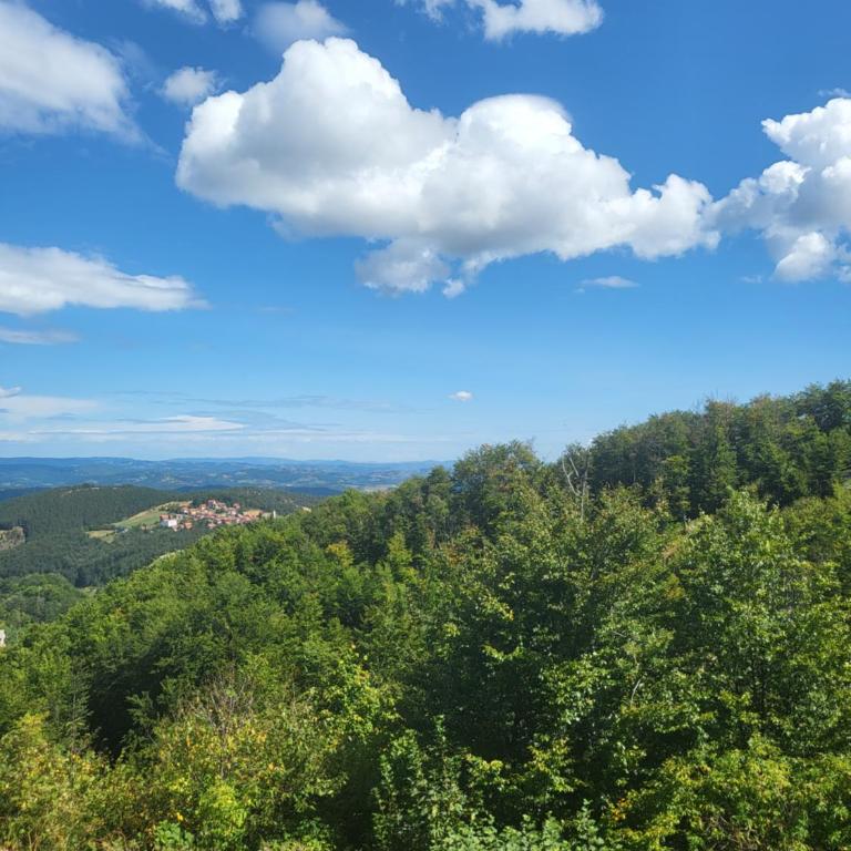 Apartments Vila Velickovic - One-Bedroom Apartment - 9