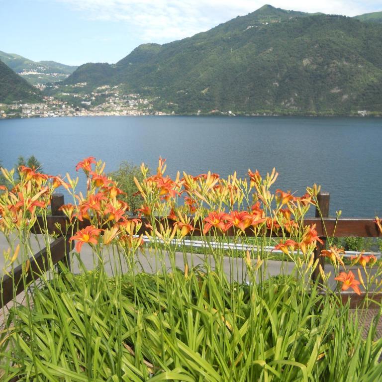 The silence holiday apartment - Appartamento con 2 Camere da Letto - 30