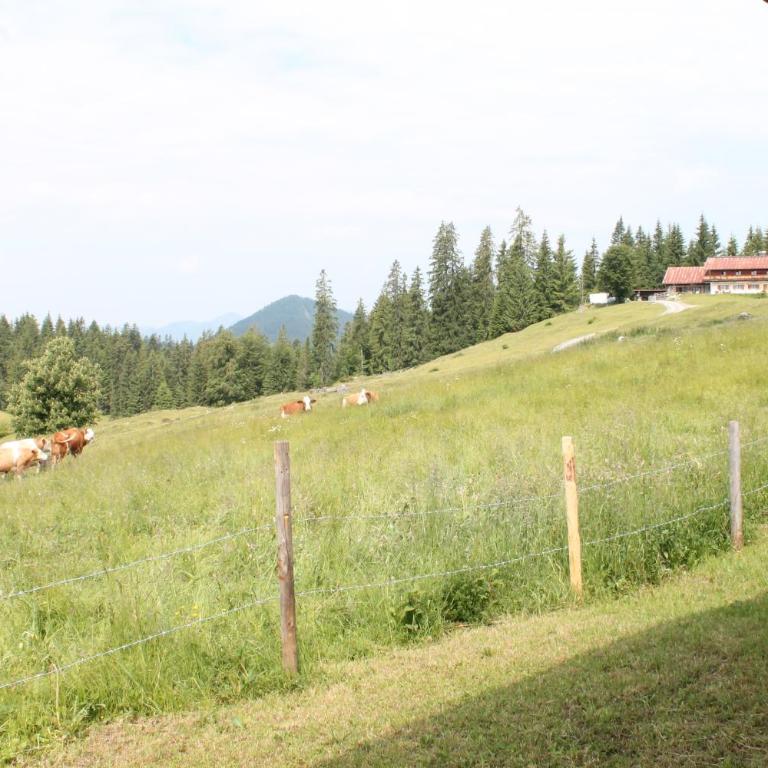 Winklmoos SonnenAlm - Apartment - Erdgeschoss - 1