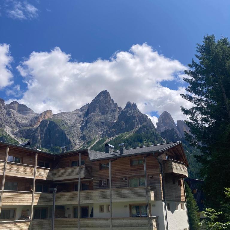 Appartamento con terrazza vista Pale di San Martino - Appartamento con Vista Montagna - 25