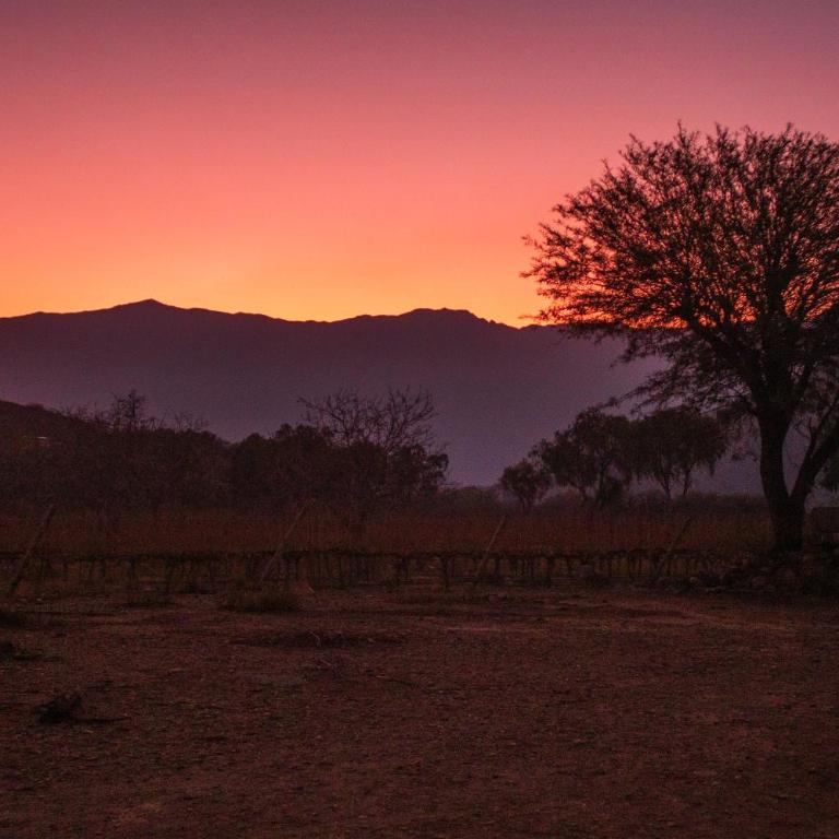 Hospedaje Finca la Encantada - Casa con 1 dormitorio - 42