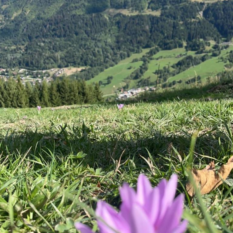 Le Refuge de Léonor - Studio mit Balkon - 23
