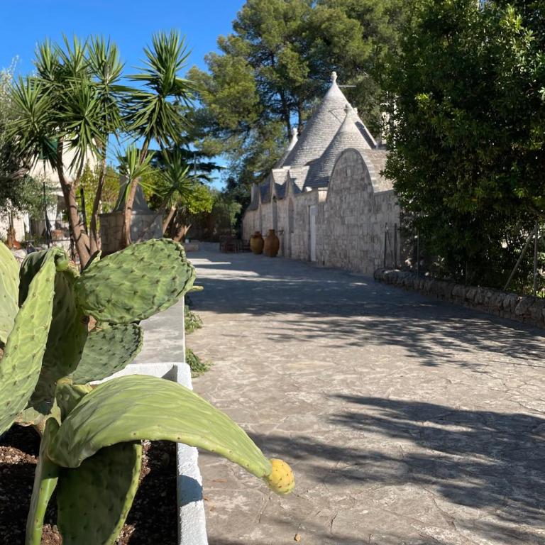 Trullo Ronzicchio - Casa con 1 Camera da Letto - 11