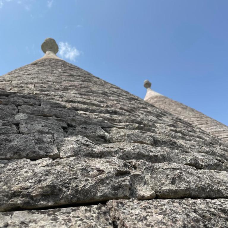 Trullo Ronzicchio - Casa con 1 Camera da Letto - 15